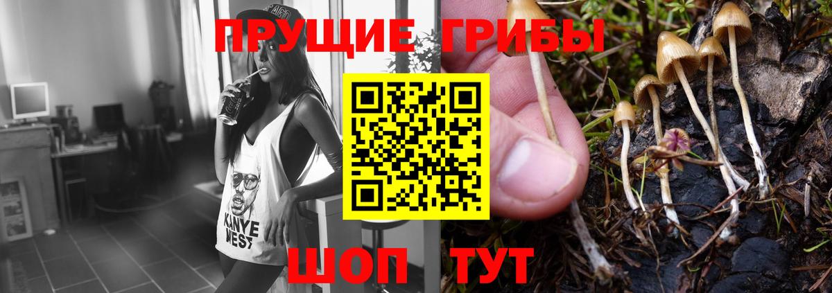 Галлюциногенные грибы Psilocybe  Вход с VPN  Ялта  Псилоцибиновые грибы мицелий 